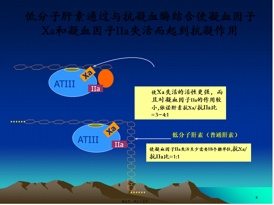 低分子肝素是不同介绍.pptx_第3页