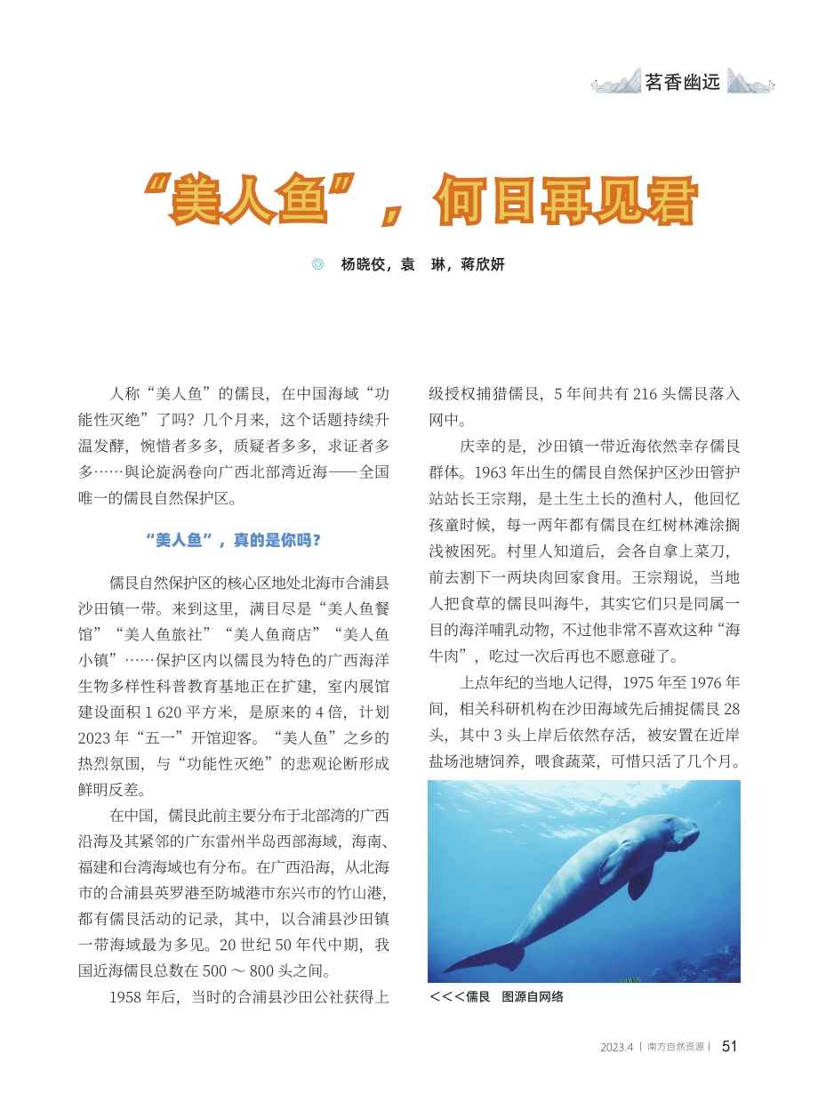 “美人鱼”何日再见君_杨晓佼.pdf_第1页