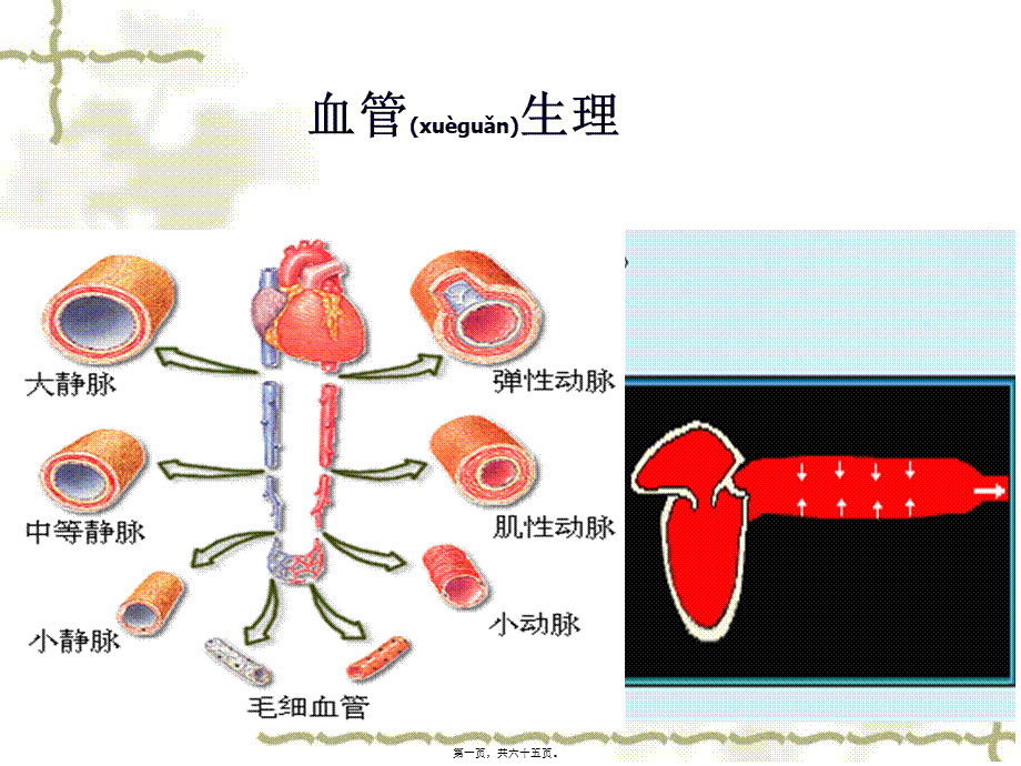 2022年医学专题—第三单元第二节--血管生理功能及心血管调节.ppt_第1页