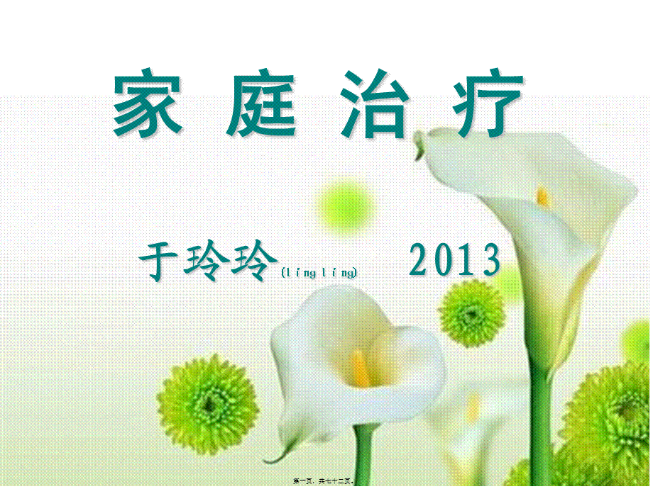 2022年医学专题—家-庭-治-疗2013剖析.ppt_第1页