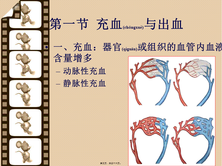 2022年医学专题—第三章--局部血液循(1).ppt_第3页