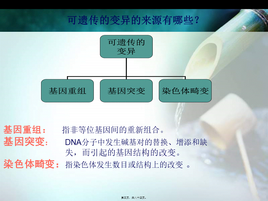 人类常见遗传病.pptx_第3页