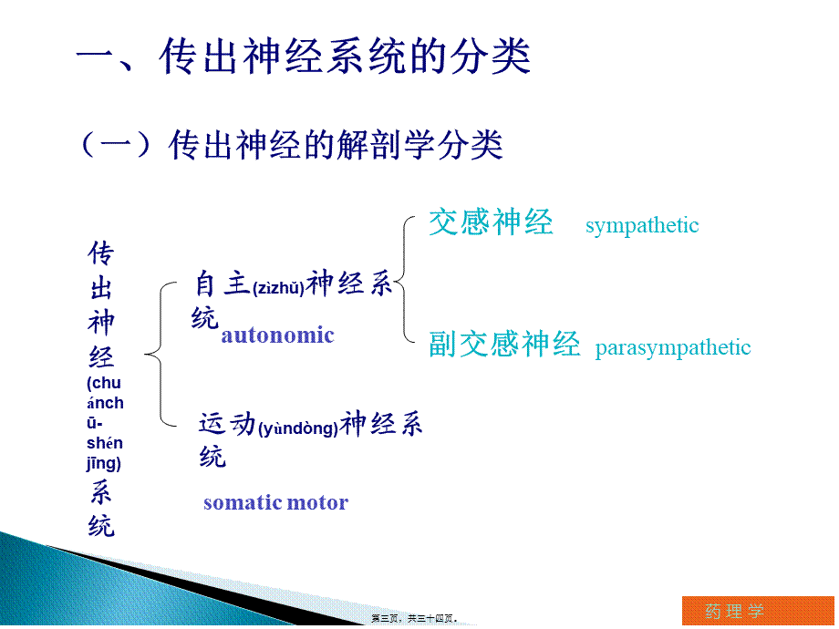 2022年医学专题—第五章-传出神经系统药理概论(胡冬雄).ppt_第3页