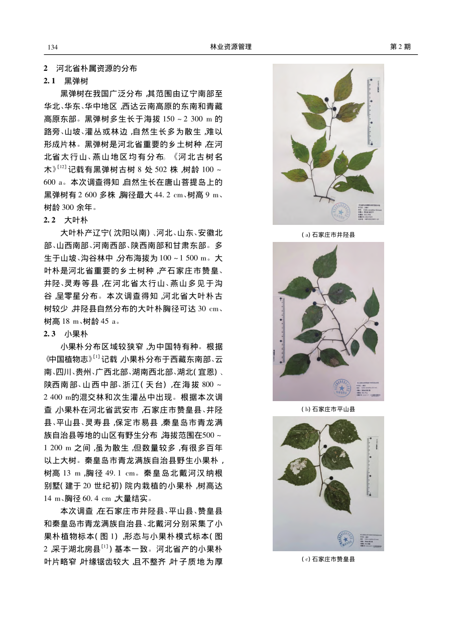 河北省朴属植物的调查研究_李雪塞.pdf_第3页