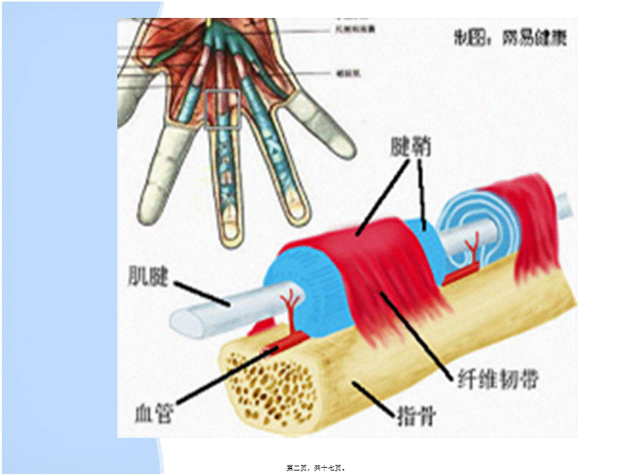 2022年医学专题—挠骨茎突狭窄性腱鞘炎.(1).ppt_第2页