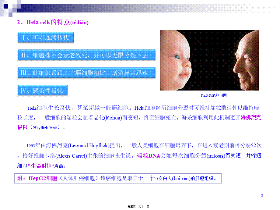 2022年医学专题—Hela细胞的研究及对癌症研究的贡献(1).ppt_第3页