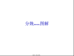 2022年医学专题—分娩图解(1).ppt