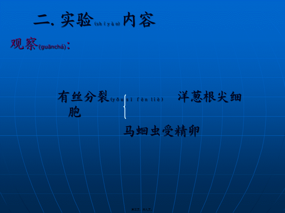 2022年医学专题—细胞分裂的观察..ppt_第3页