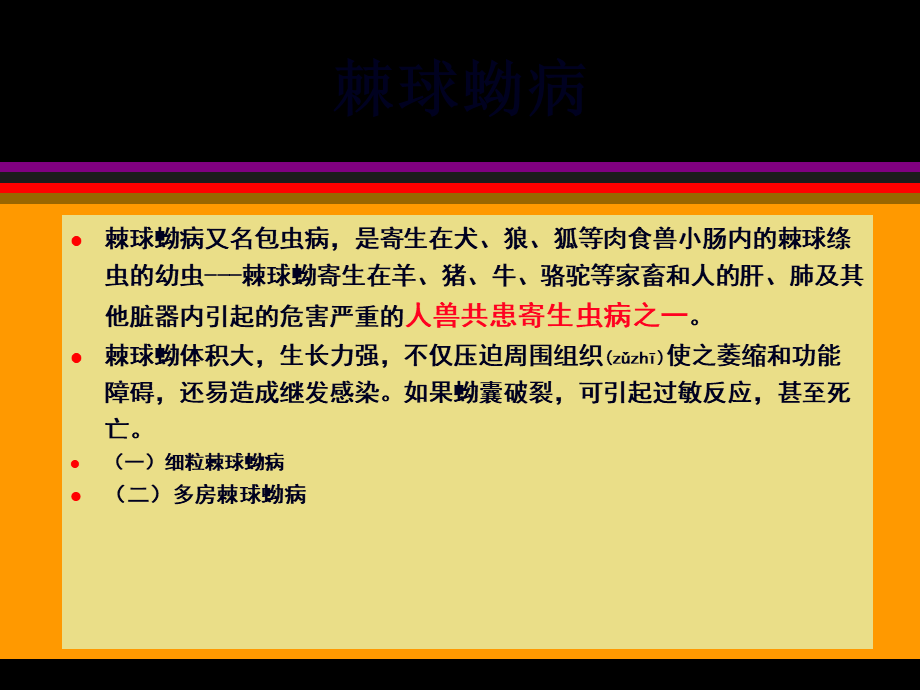 2022年医学专题—棘球蚴病ok(1).ppt_第2页