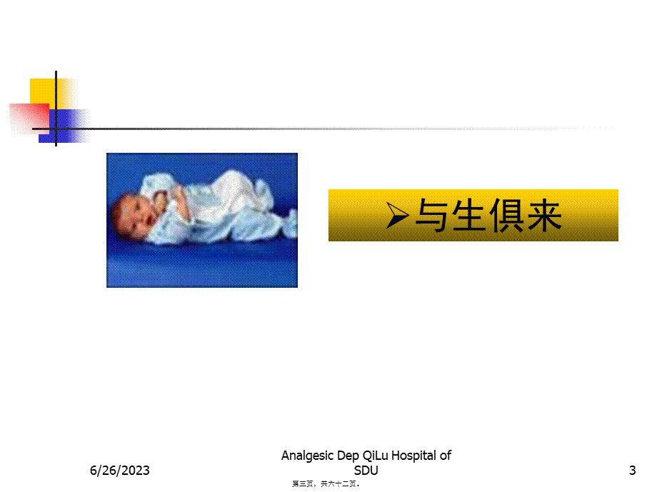 2022年医学专题—疼痛基础理论及诊疗原则要点(1).ppt_第3页