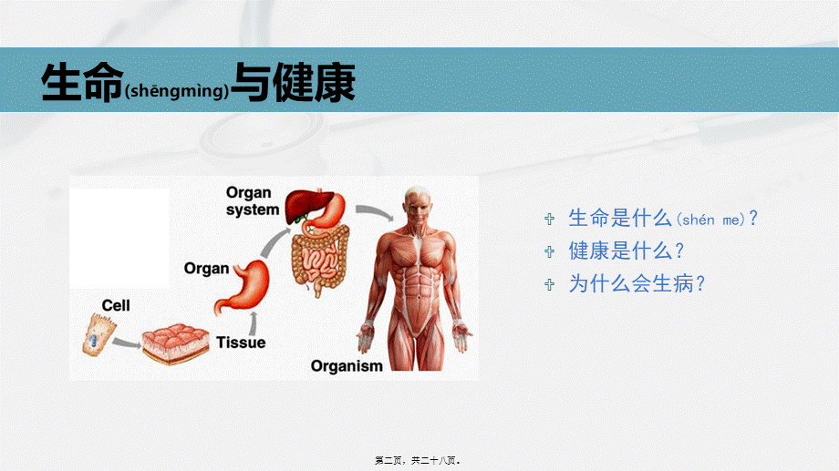 2022年医学专题—细胞疗法科普(1).pptx_第2页