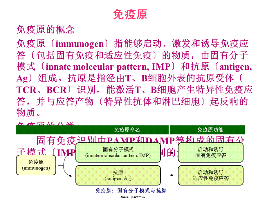 4-免疫原和免疫球蛋白(1).ppt_第3页