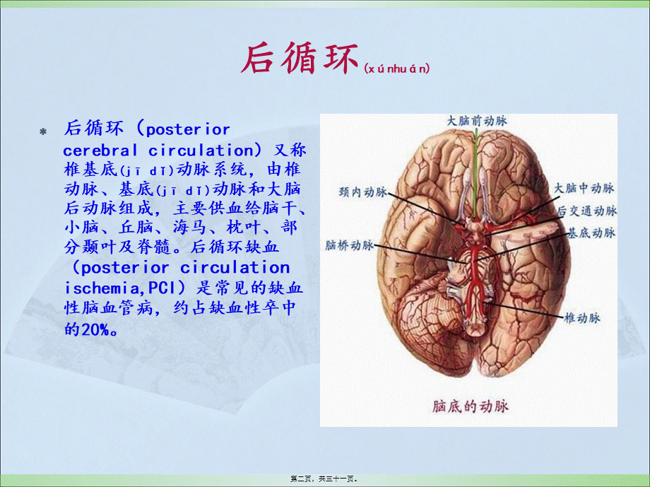 2022年医学专题—后循环缺血(1).ppt_第2页