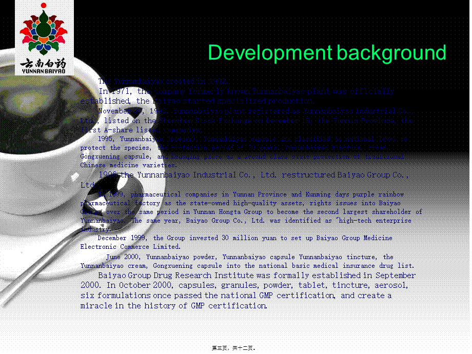 云南白药集团股份有限公司英文版.pptx_第3页