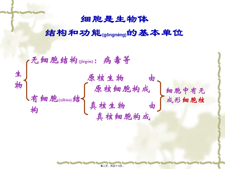 2022年医学专题—会考复习2生命的基本单位——细胞(1).ppt_第2页