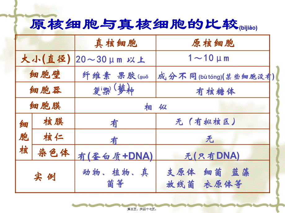 2022年医学专题—会考复习2生命的基本单位——细胞(1).ppt_第3页