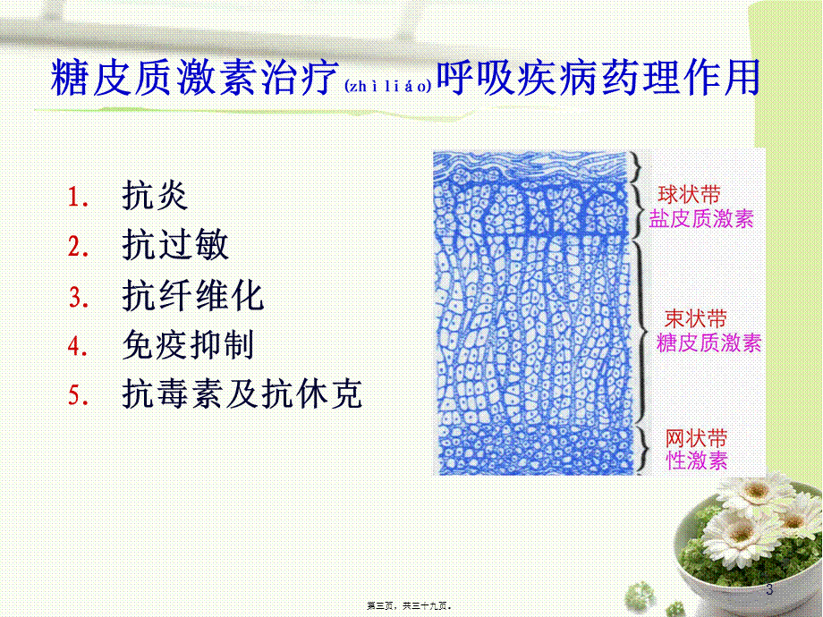 2022年医学专题—糖皮质激素在呼吸科的应用(1).pptx_第3页