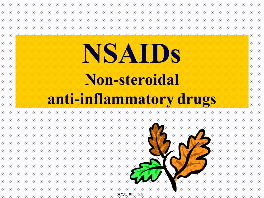 2022年医学专题—NSAID相关性胃肠粘膜损伤的防治.ppt_第2页