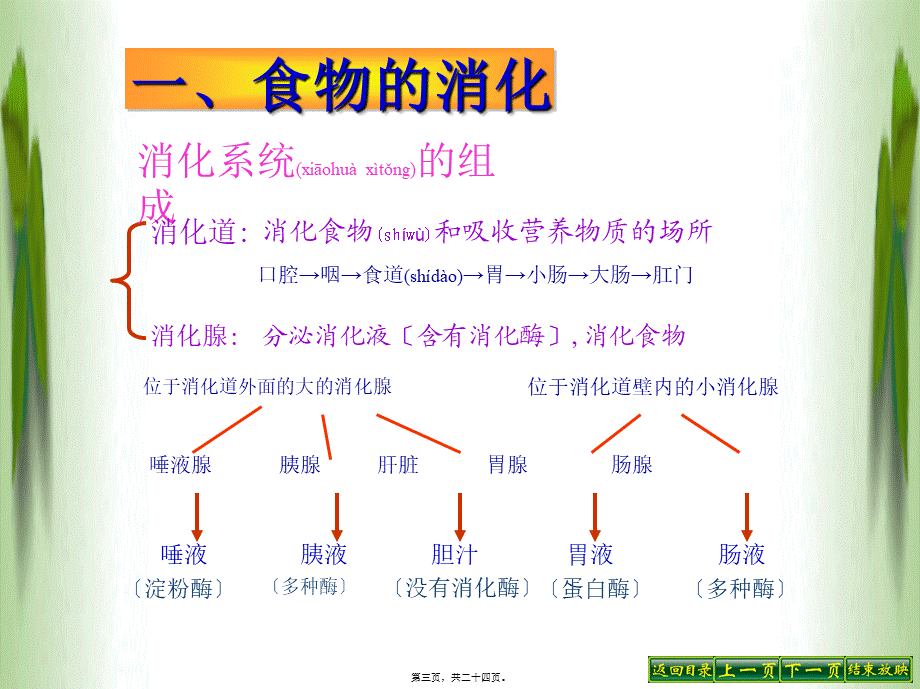 2022年医学专题—.2.2消化和吸收教程.ppt_第3页