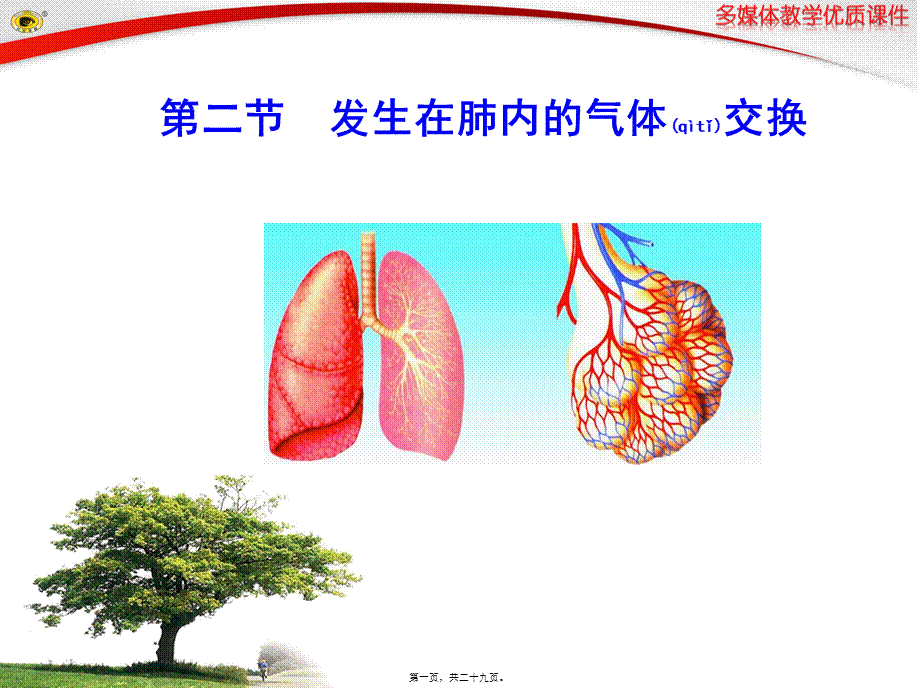 2022年医学专题—肺内的气体交换.ppt_第1页