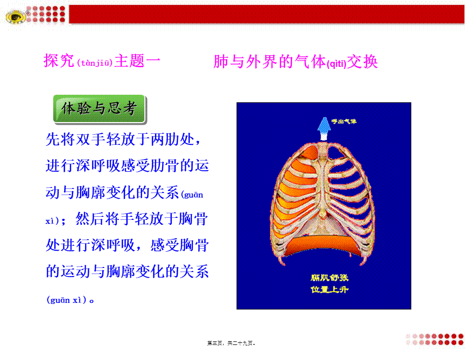 2022年医学专题—肺内的气体交换.ppt_第3页