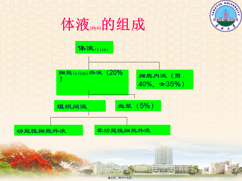 2022年医学专题—第三章-外科病人的体液失调.ppt_第3页