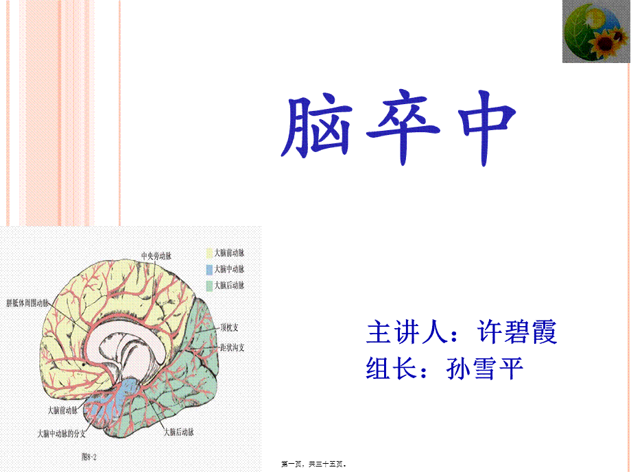 2022年医学专题—脑卒中-终.pptx_第1页