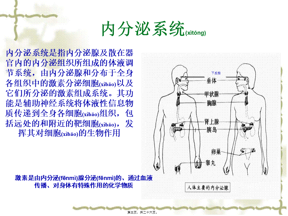 2022年医学专题—内分泌系统常见症状与体征资料(1).ppt_第3页