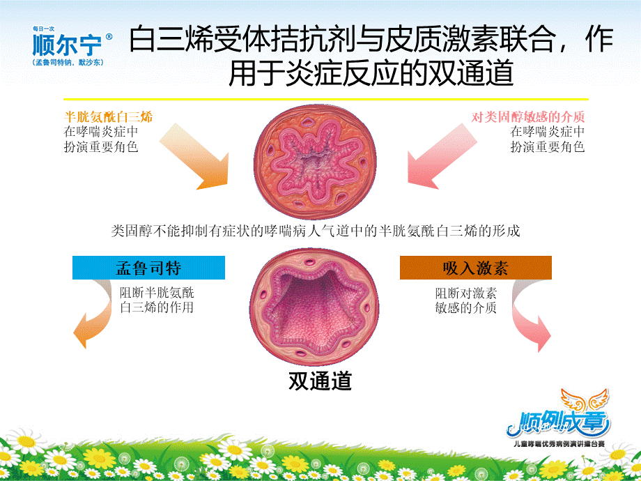 顺尔宁儿科典型病例模版0316.ppt_第3页