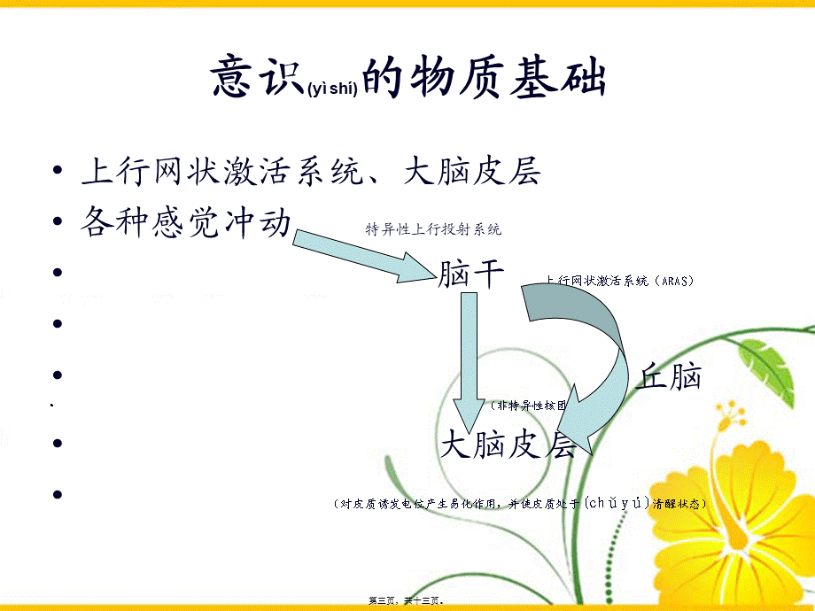 2022年医学专题—意识障碍的分类.ppt_第3页