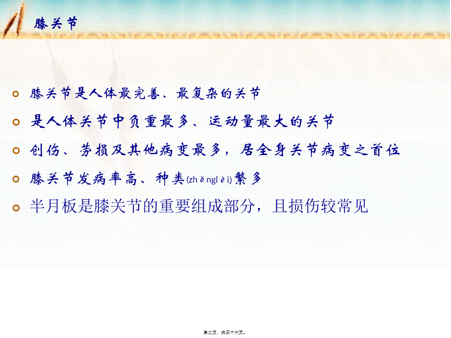 2022年医学专题—半月板损伤(1).ppt_第2页