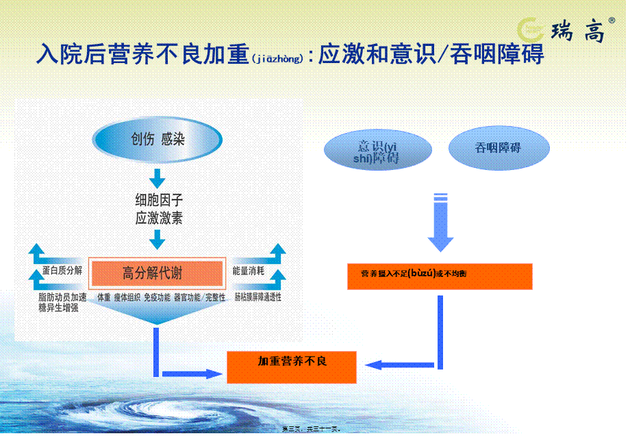 2022年医学专题—呼吸-瑞高-(2)1(1).ppt_第3页