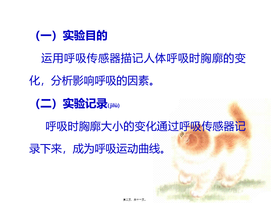 2022年医学专题—人体呼吸运动(1).ppt_第2页