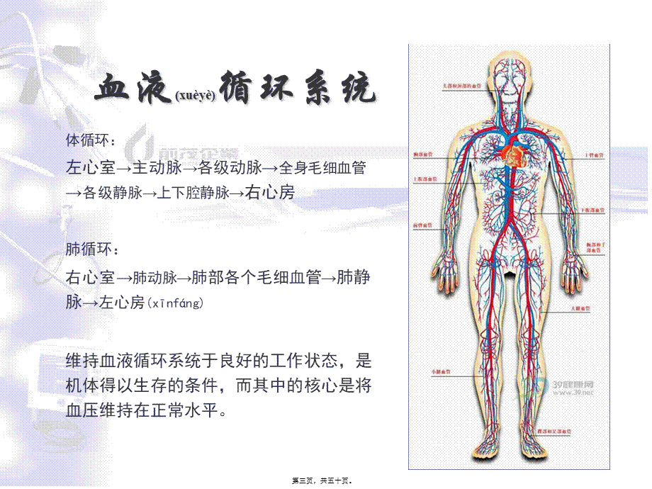 2022年医学专题—主动脉内球囊反搏泵.pptx_第3页