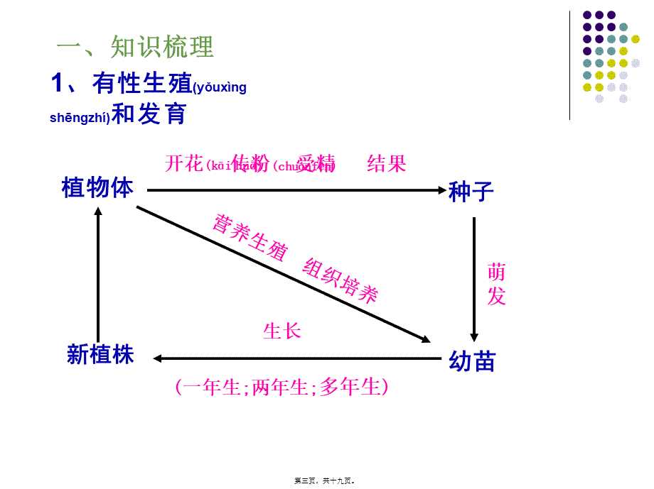 2022年医学专题—知识扩展花蕊雄蕊雌蕊花药花丝2个精子花粉柱头传粉花柱子房胚珠种(1).ppt_第3页