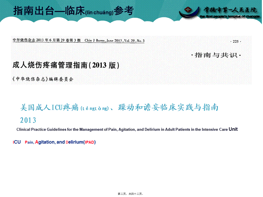 2022年医学专题—烧伤镇痛策略(1).pptx_第2页