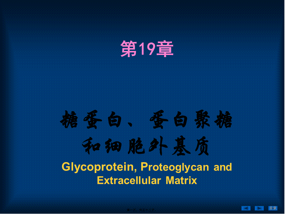 2022年医学专题—第99十九篇-糖蛋白、蛋白聚糖和细胞外基质(1).ppt_第1页