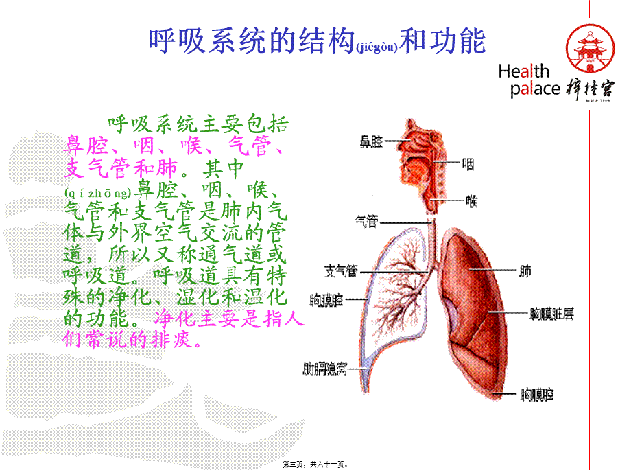 2022年医学专题—梓宫上呼吸道感染及合理用药.(1).ppt_第3页