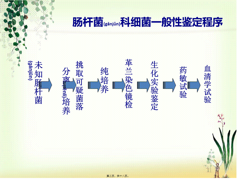 2022年医学专题—肠杆菌科细菌鉴定.ppt_第2页