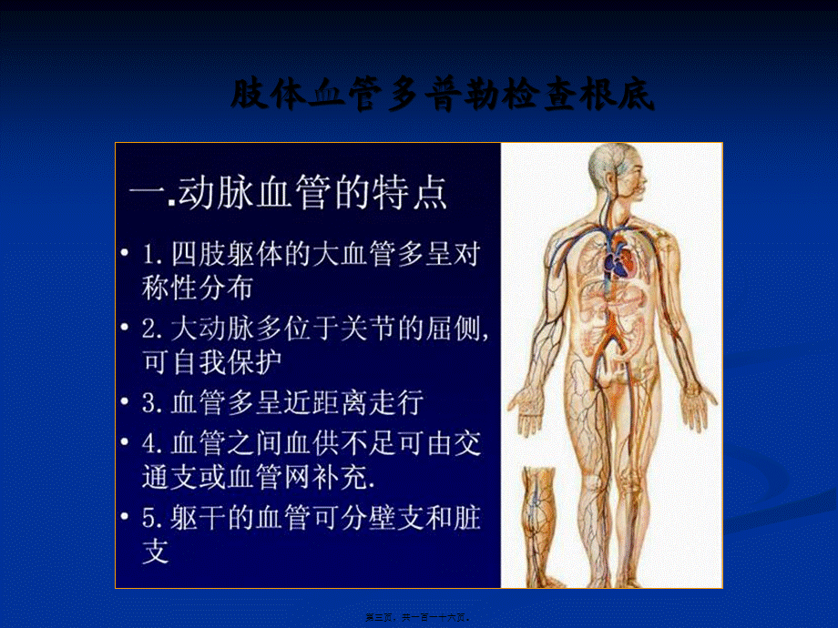 周围血管超声检查.pptx_第3页