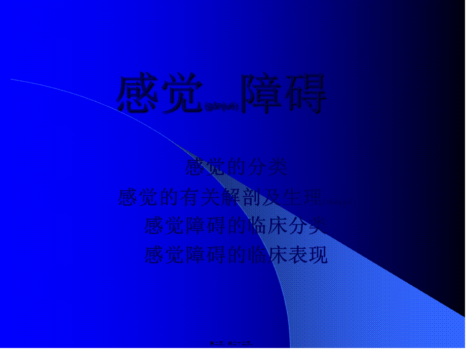 2022年医学专题—B感觉障碍.ppt_第2页