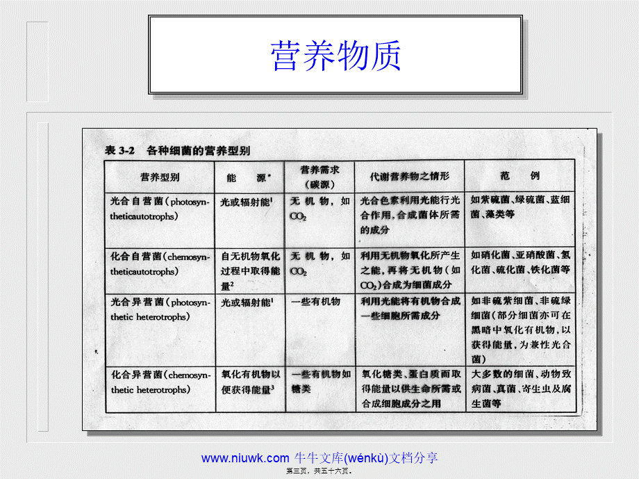 2022年医学专题—细菌的生理.pptx_第3页