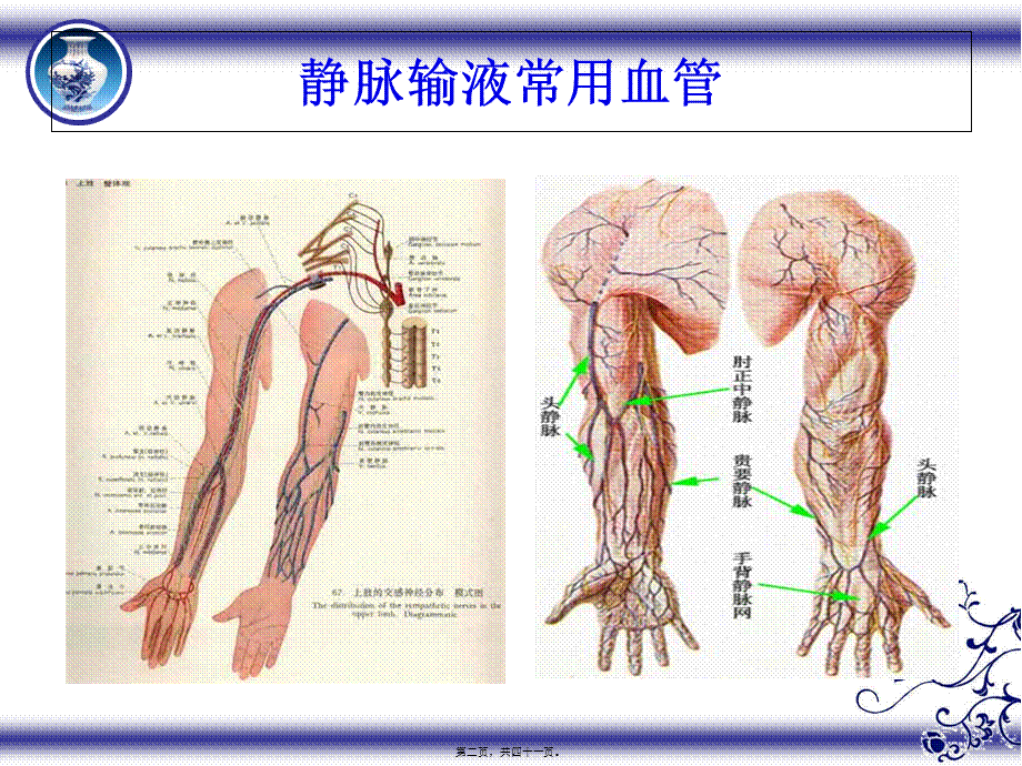 危重病人血管保护.ppt.pptx_第2页