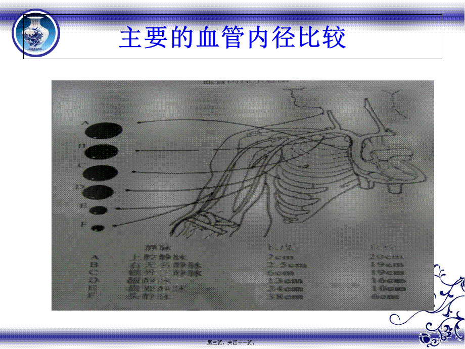 危重病人血管保护.ppt.pptx_第3页