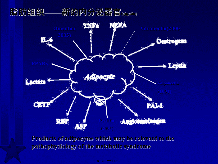 2022年医学专题—脂肪与胰岛素抵抗新概念修改.ppt_第1页