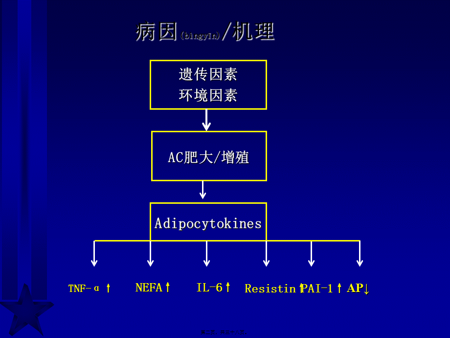 2022年医学专题—脂肪与胰岛素抵抗新概念修改.ppt_第2页