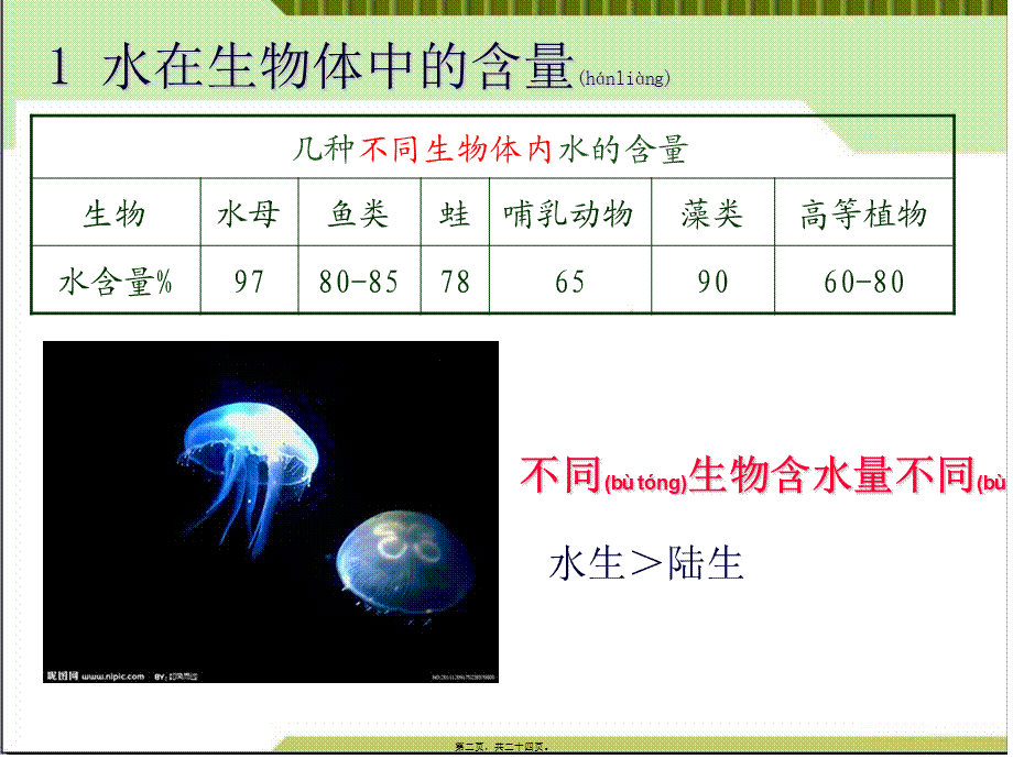 2022年医学专题—细胞中的无机物.ppt_第2页