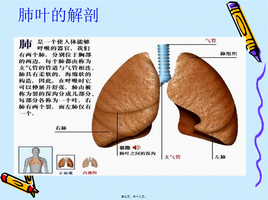 右肺上叶切除术..pptx_第3页