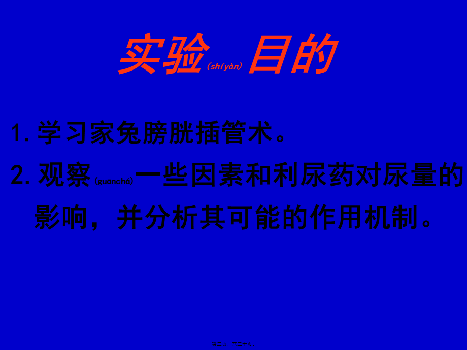 2022年医学专题—尿液生成的影响因素).pptx_第2页