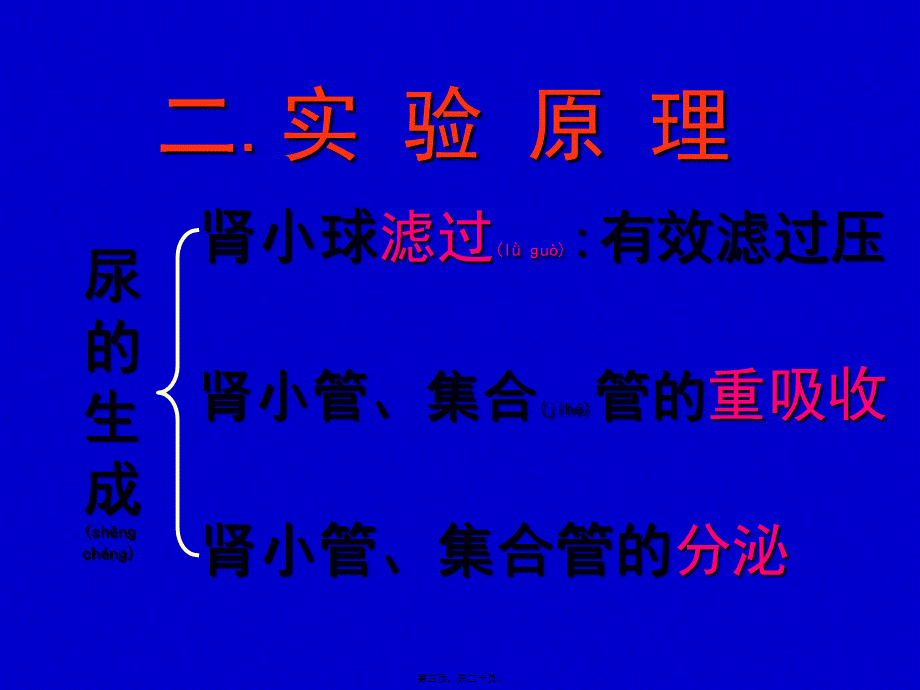 2022年医学专题—尿液生成的影响因素).pptx_第3页